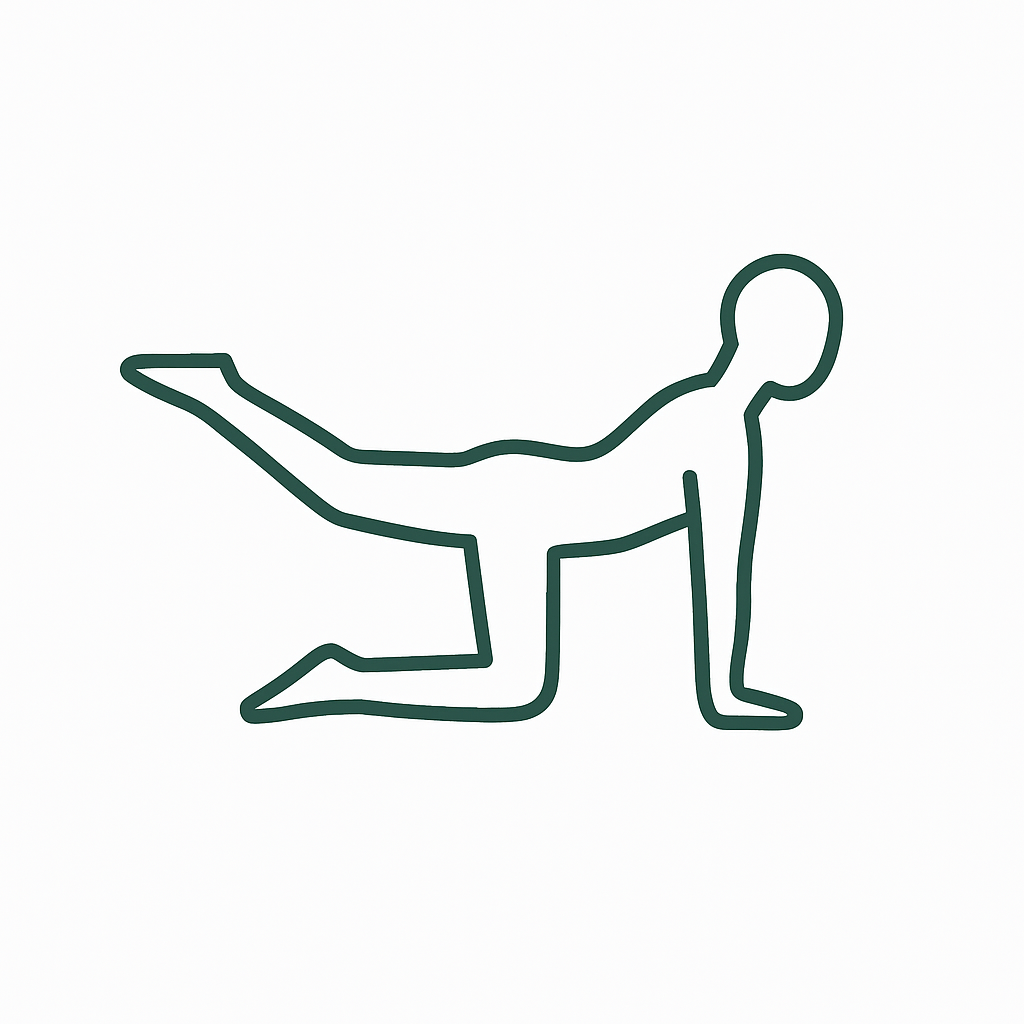 Icon Rückbildung